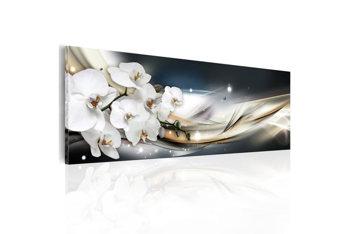 Tavla Touch Of Innocence 150X50 Flerfärgad|Vit - Blommor - Inredning - Väggdekor - Canvastavlor