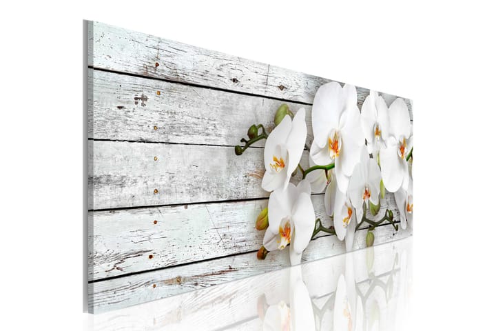 Tavla White Dreams 150X50 - Blommor - Inredning - Väggdekor - Canvastavlor