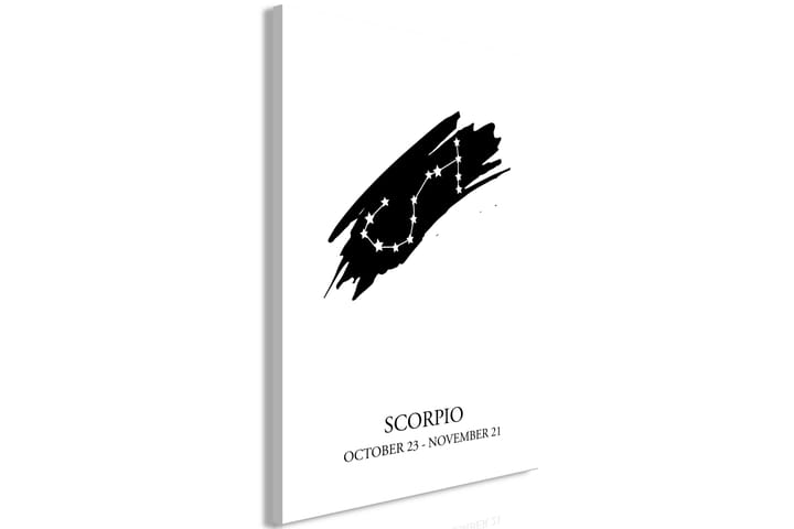 Tavla Zodiac Signs: Scorpio (1 Part) Vertical 40x60 - Finns i flera storlekar - Inredning - Väggdekor - Canvastavlor