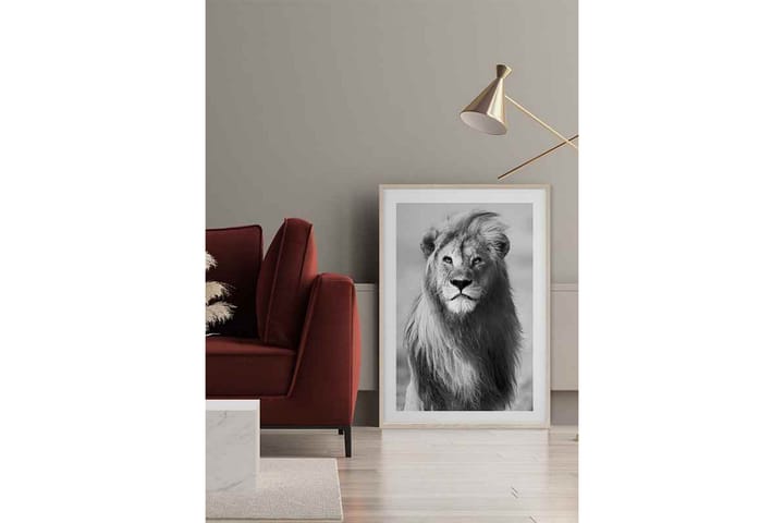 Majestic Lion - Finns i flera storlekar - Inredning - Väggdekor - Posters