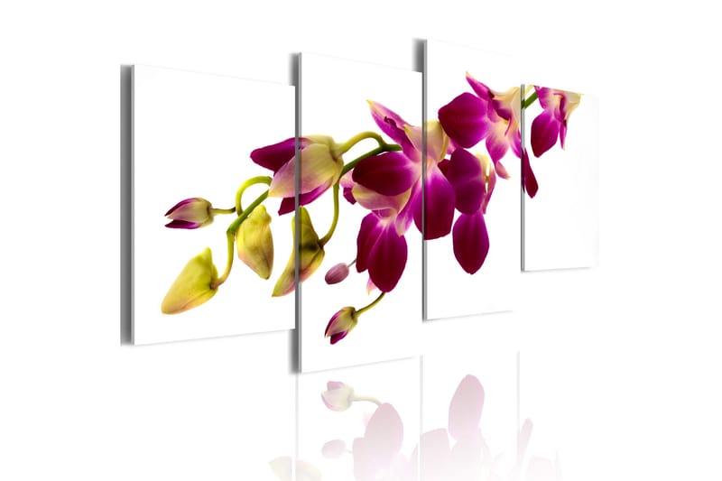 Tavla Orchids Glöd 80X45 Rosa|Vit - Blommor - Inredning - Väggdekor - Canvastavlor