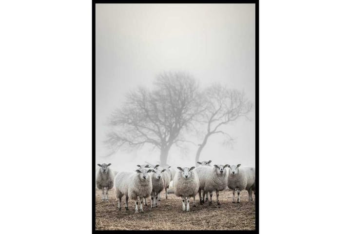 Sheep In Fog - Finns i flera storlekar - Inredning - Väggdekor
