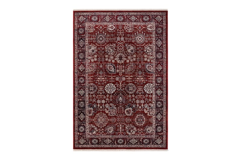 Wiltonmatta Agadir Bidjar 200x300 cm - Röd - Textil & mattor - Matta - Modern matta - Wiltonmatta