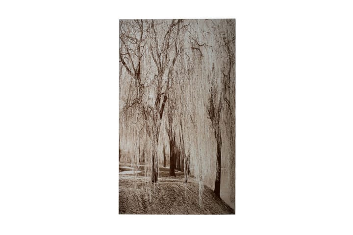 Matta Pierre Cardin Diamond 160x230 Tree - Brun - Textil & mattor - Matta
