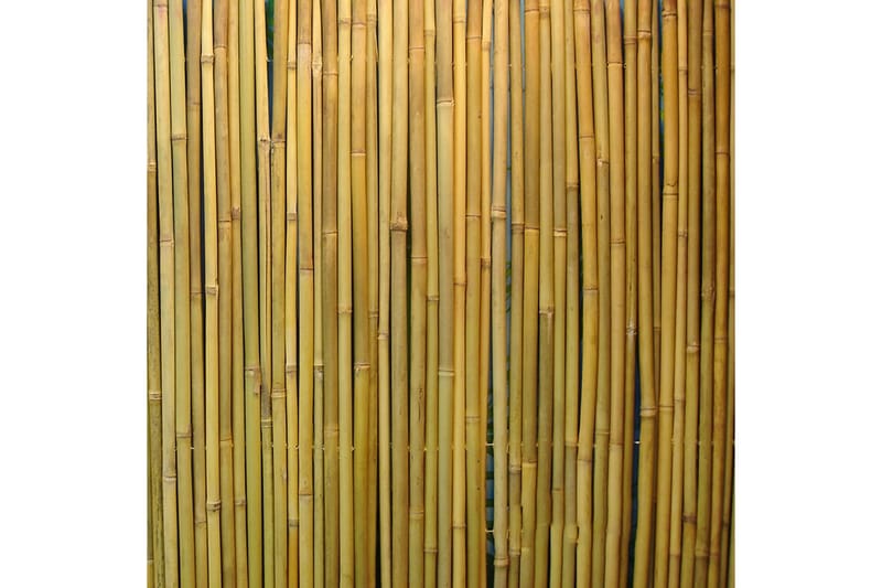 Stansat Bambusstaket I Trädgården 2x3M - Trädgård - Trädgårdsdekoration & utemiljö - Staket & grindar